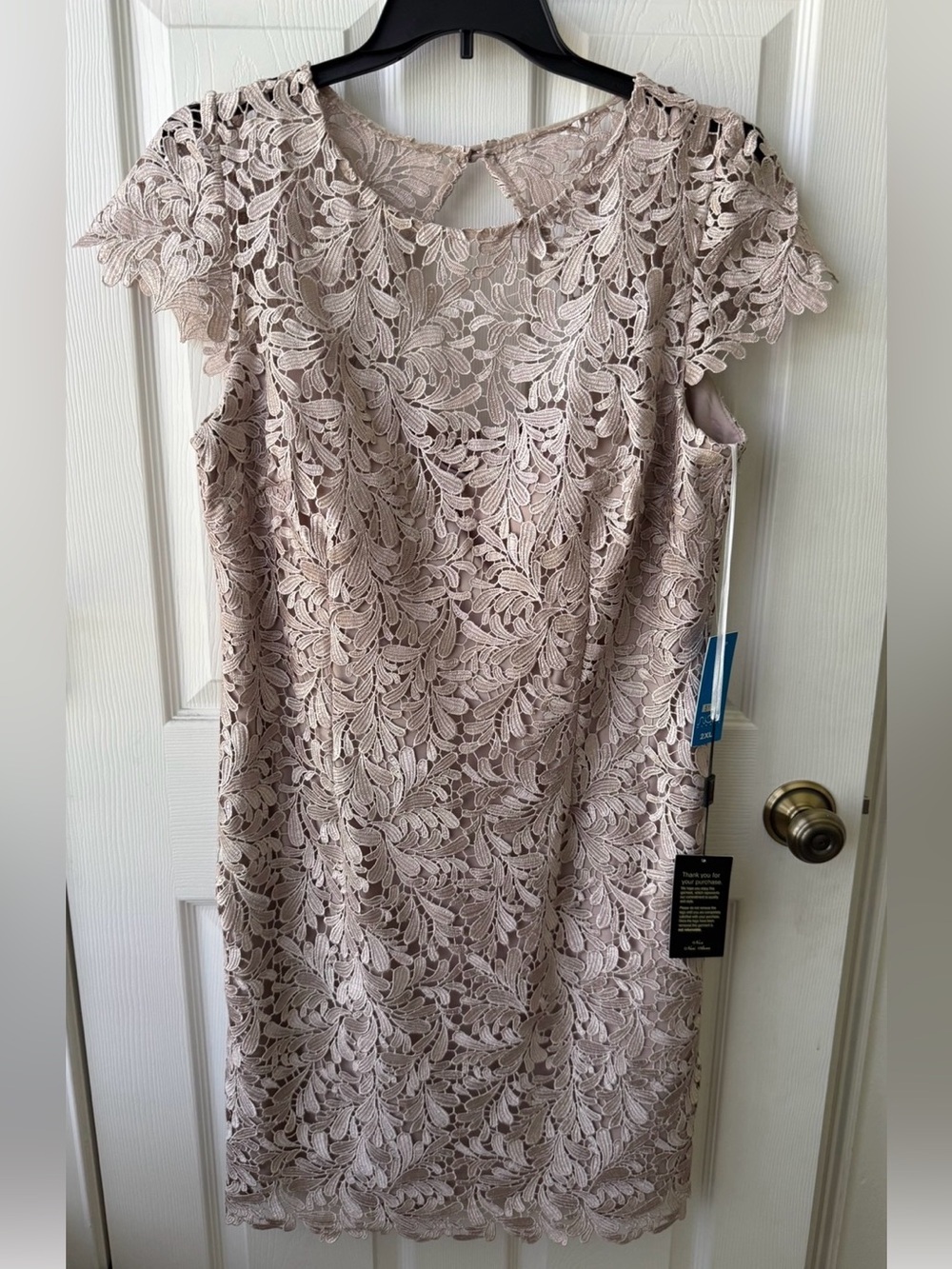 NOX Cocktail /Evening/ Mother of Bride Dress, Size 2X